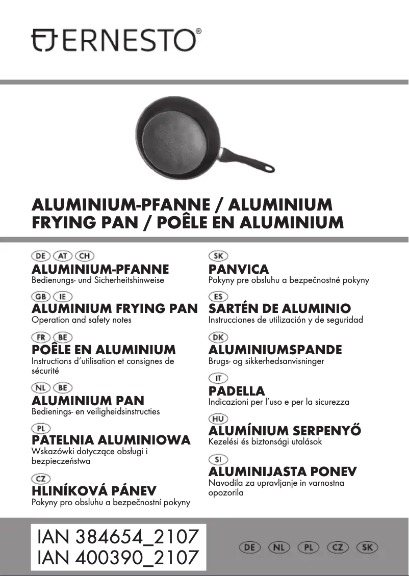 Page n°1 - Manuel utilisateur Ernesto HG08782