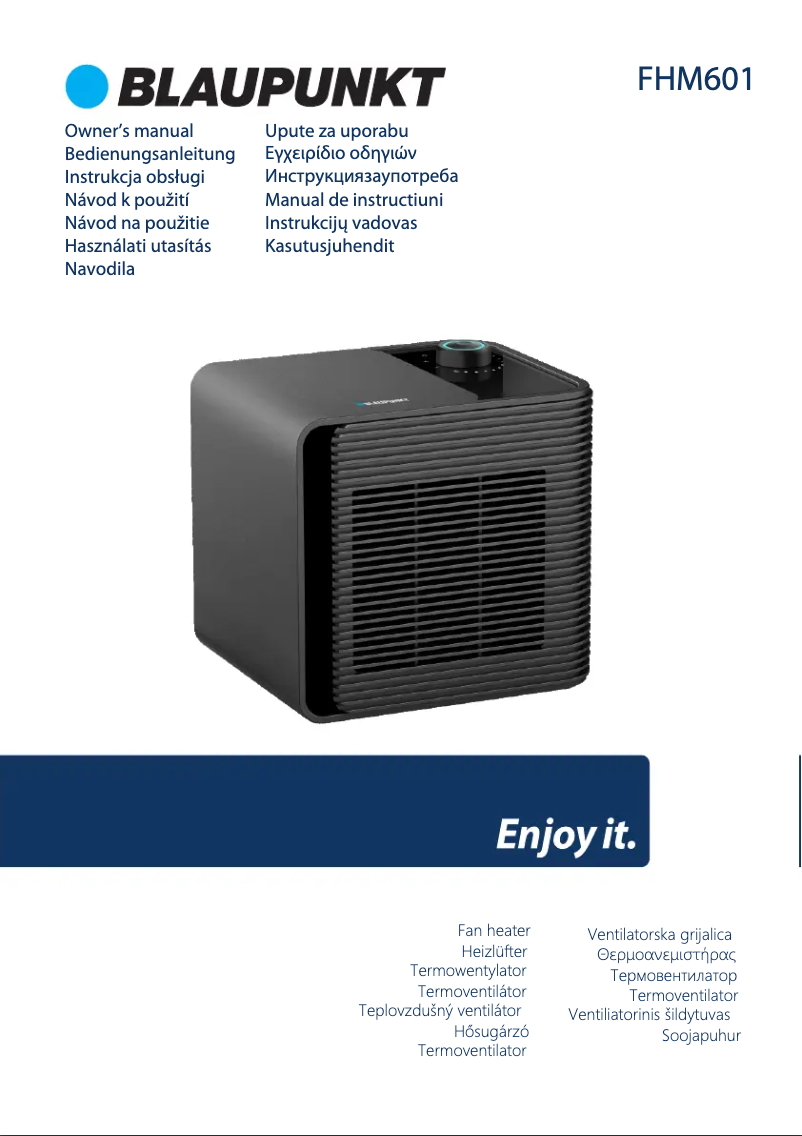 Page n°1 - Manuel utilisateur Blaupunkt FHM601