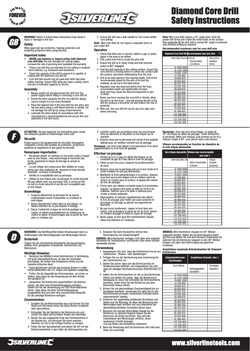 Page 1 de la notice Manuel utilisateur Silverline 406549