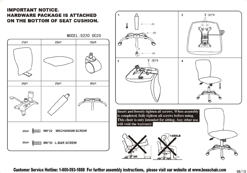 Page 1 de la notice Manuel utilisateur Boss B220