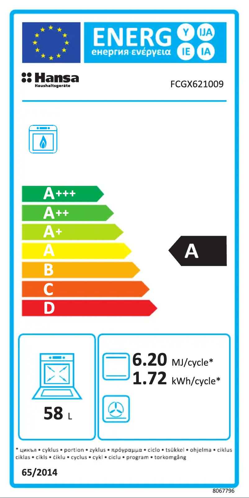 Page 1 de la notice Manuel utilisateur Hansa FCGX621009