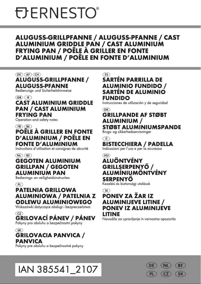 Page n°1 - Manuel utilisateur Ernesto IAN 346039