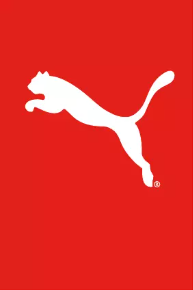 Page n°1 - Manuel utilisateur Puma Form