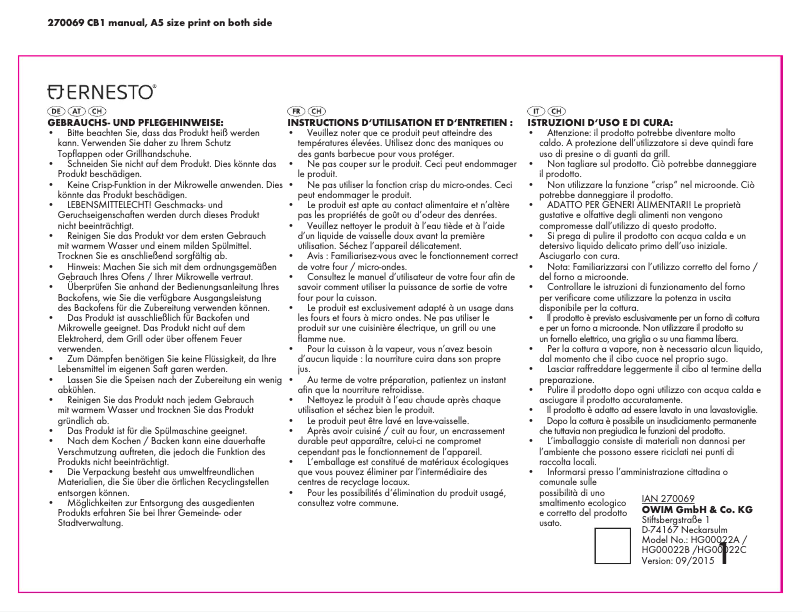 Page n°1 - Manuel utilisateur Ernesto IAN 270069