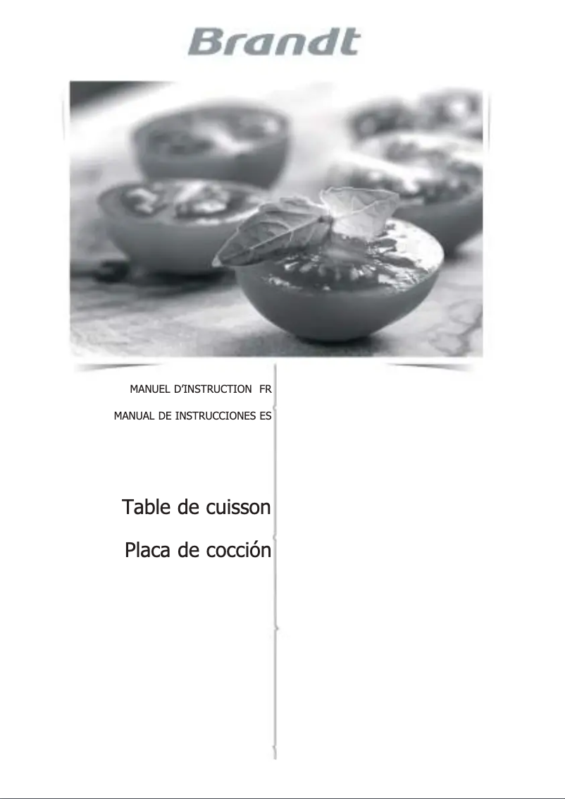 Image de la première page du manuel de l'appareil BPI6362B