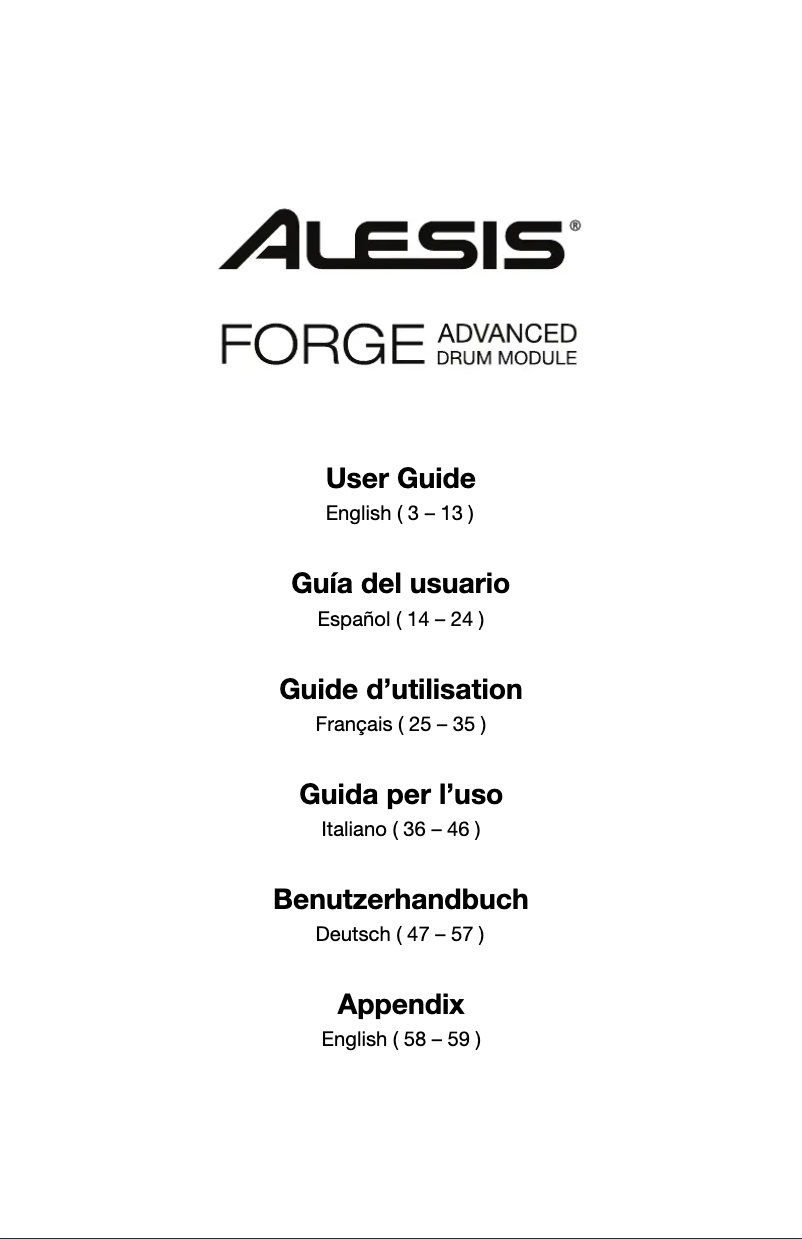 Page 1 de la notice Manuel utilisateur Alesis Forge Kit
