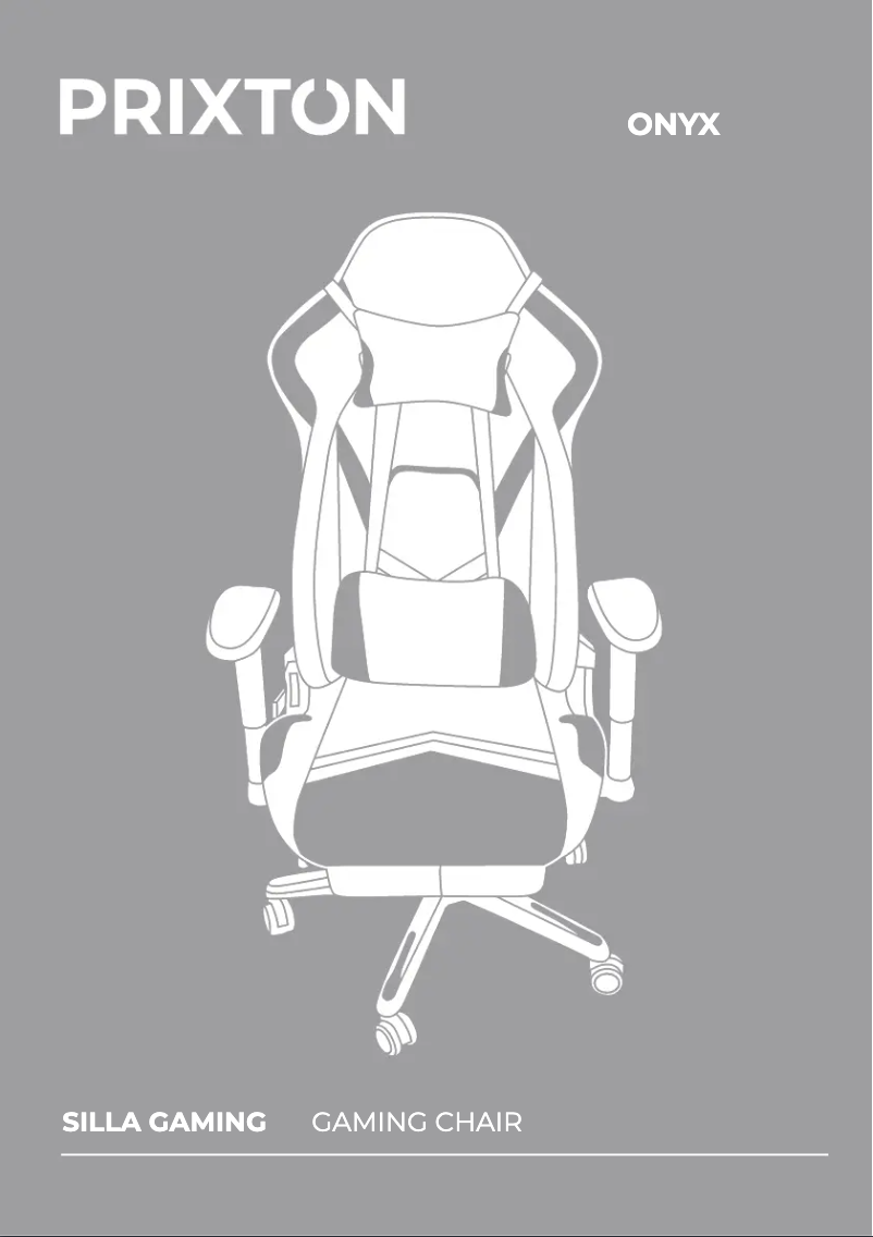 Page 1 de la notice Manuel utilisateur Prixton Onyx