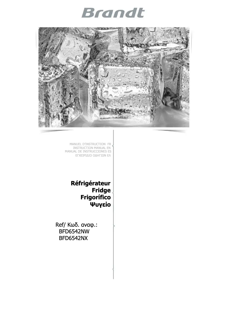 Image de la première page du manuel de l'appareil BFD6542NX