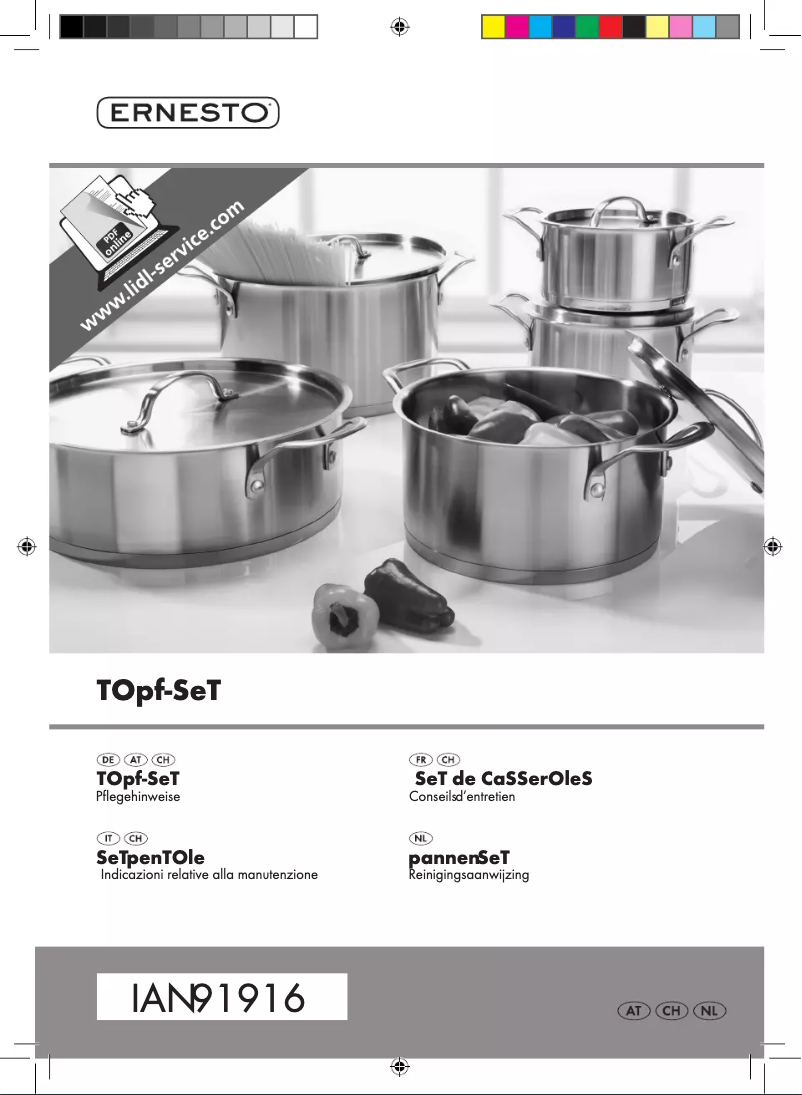 Página 1 del manual Manual de usuario Ernesto IAN 91916