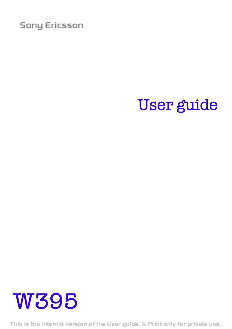 Image de la première page du manuel de l'appareil W395