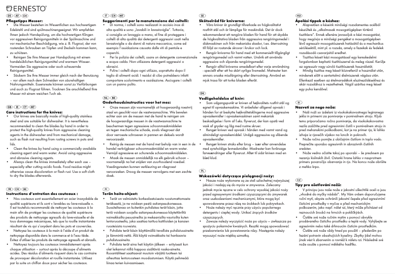 Page 1 de la notice Manuel utilisateur Ernesto IAN 114407