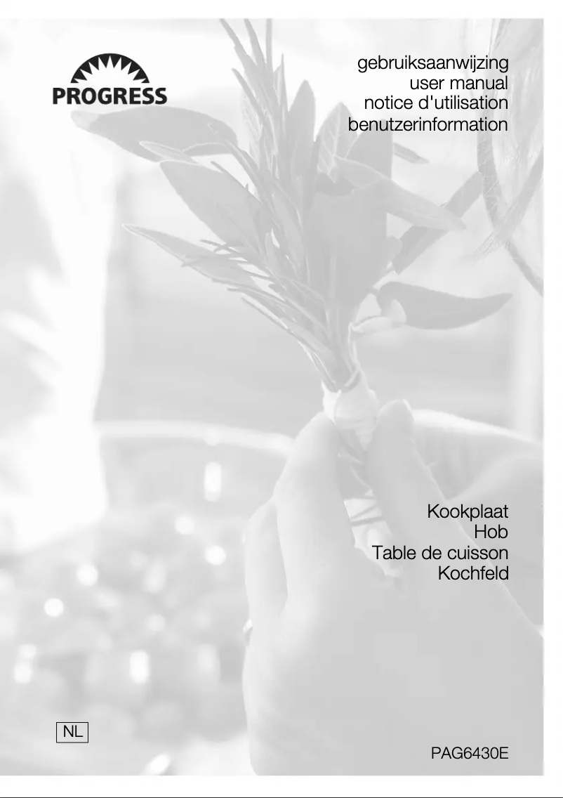 Image de la première page du manuel de l'appareil PAG6430E-N