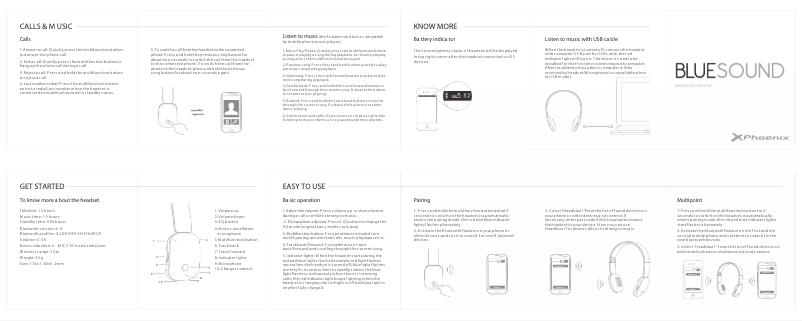 Image de la première page du manuel de l'appareil Blue Sound