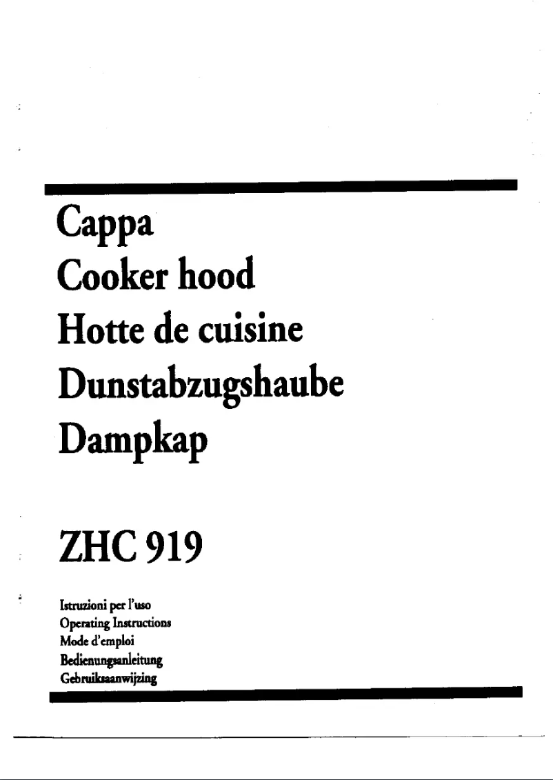 Image de la première page du manuel de l'appareil ZHC 919 x