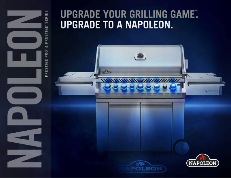 Page n°1 - Brochure Napoleon Prestige PRO 500