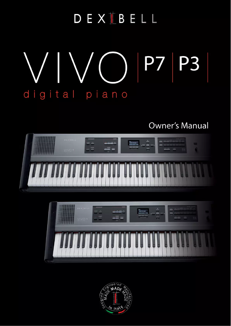 Image de la première page du manuel de l'appareil VIVO P3