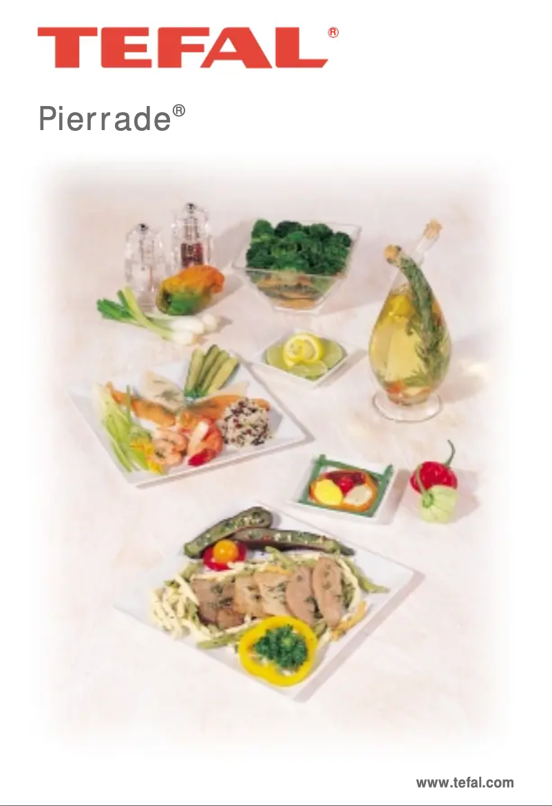 Page 1 de la notice Manuel utilisateur Tefal Pierrade Compact