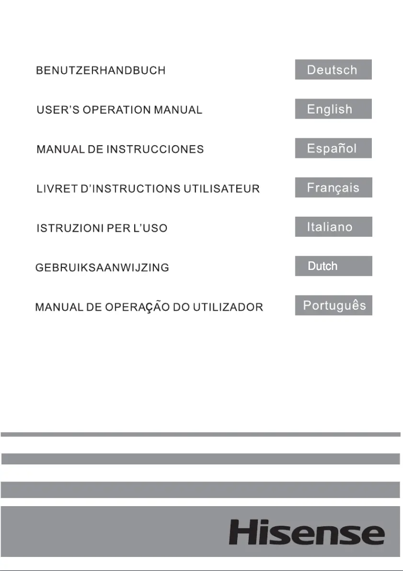 Page 1 de la notice Manuel utilisateur Hisense FV245N4AW1