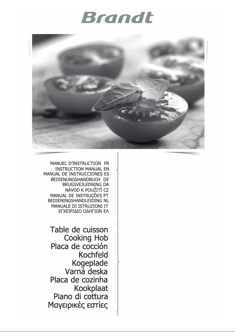 Page 1 de la notice Manuel utilisateur Brandt BPI6428UB