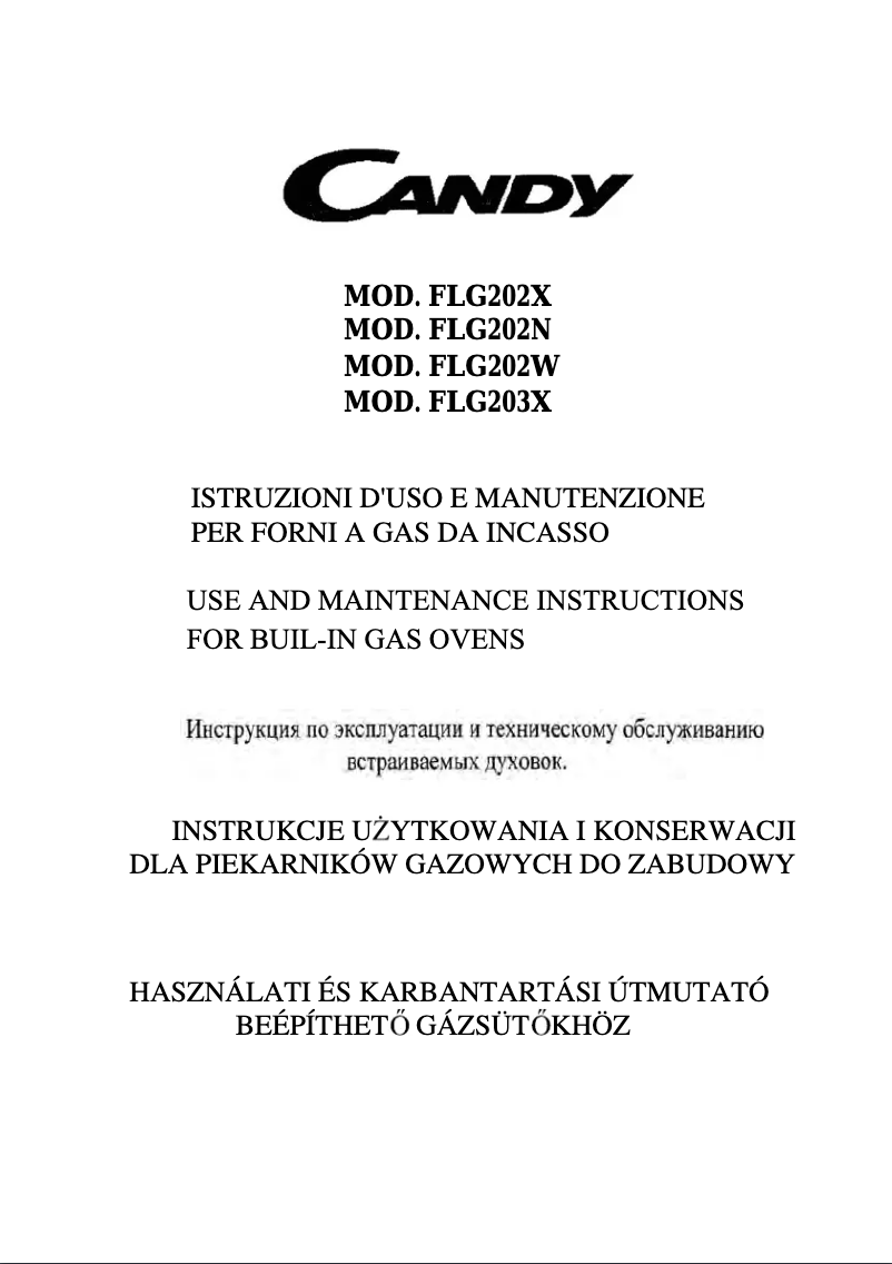 Image de la première page du manuel de l'appareil FLG 202 N