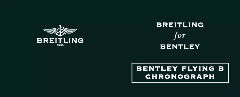 Page n°1 - Manuel utilisateur Breitling For Bentley Flying B Chronograph