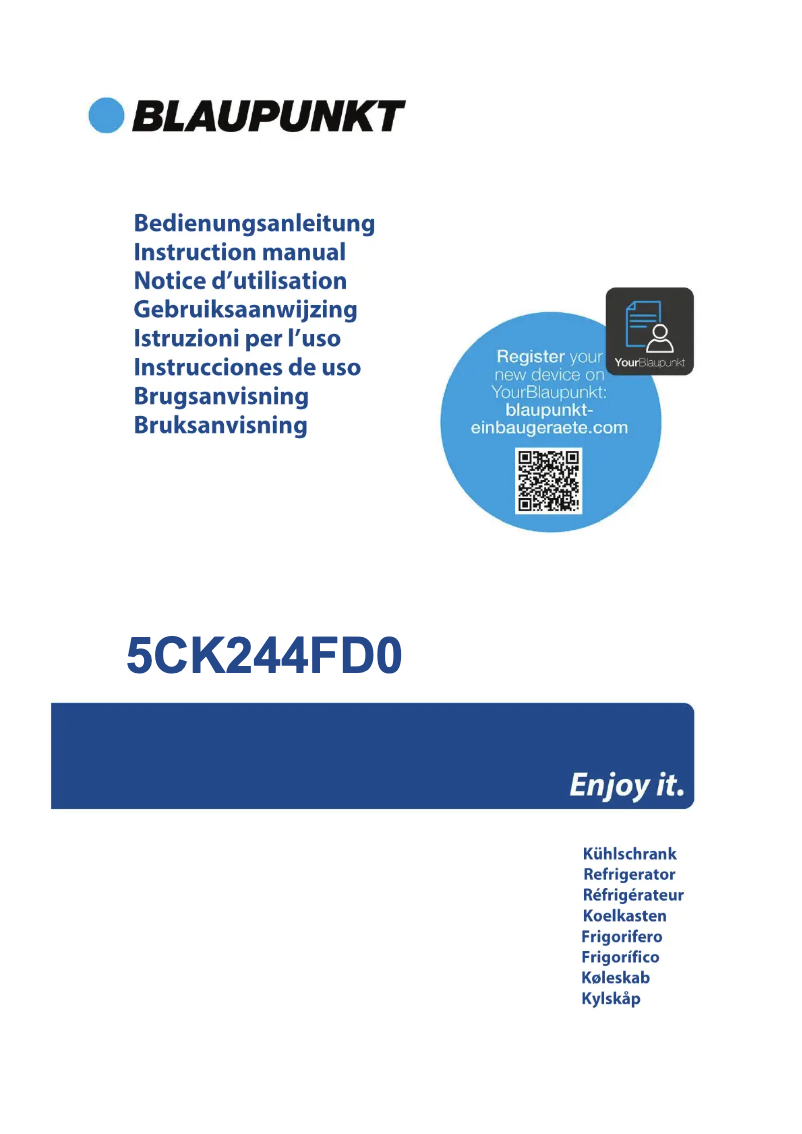 Page n°1 - Guide d'installation Blaupunkt 5CK244FD0