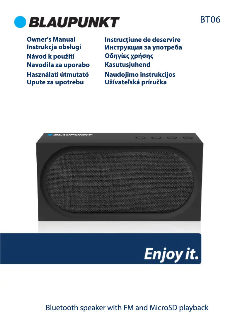 Page n°1 - Manuel utilisateur Blaupunkt BT06