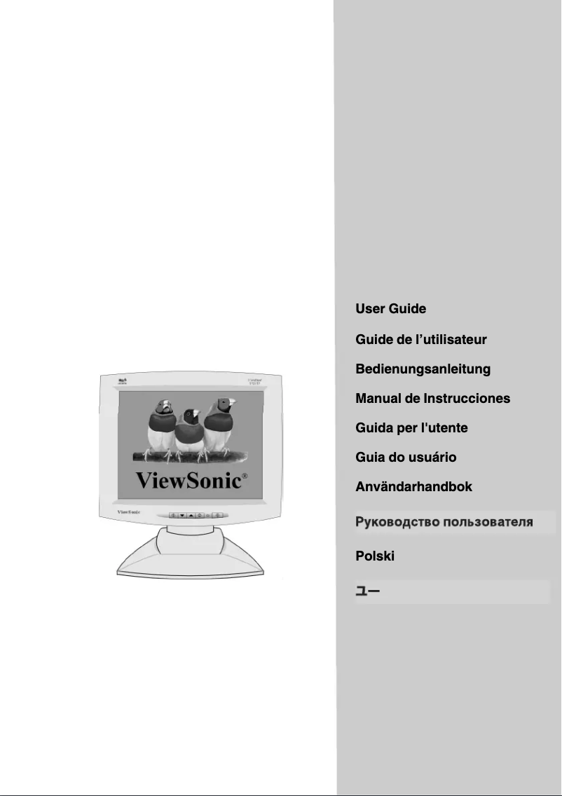 Page 1 de la notice Manuel utilisateur Viewsonic Graphic VG181