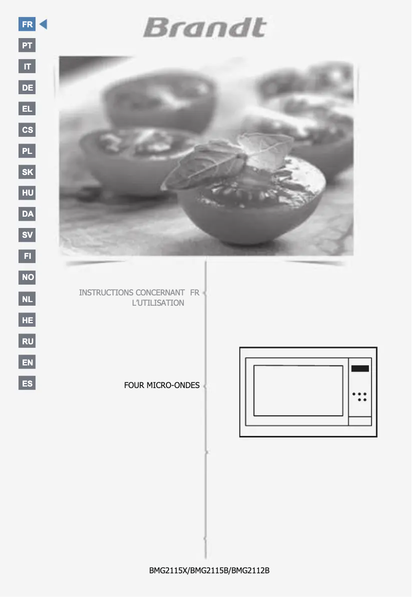 Image de la première page du manuel de l'appareil BMG2115B