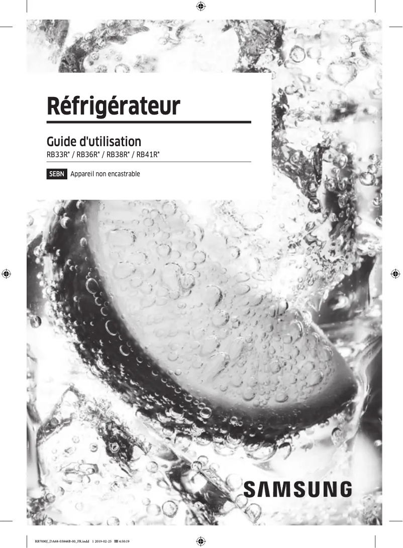 Page n°1 - Manuel utilisateur Samsung RB41R7719S9/EF