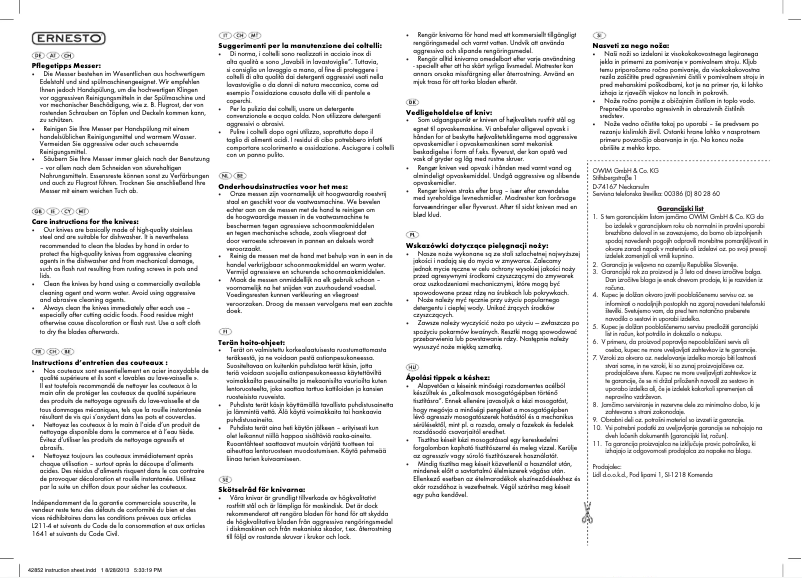 Page n°1 - Manuel utilisateur Ernesto Z27864