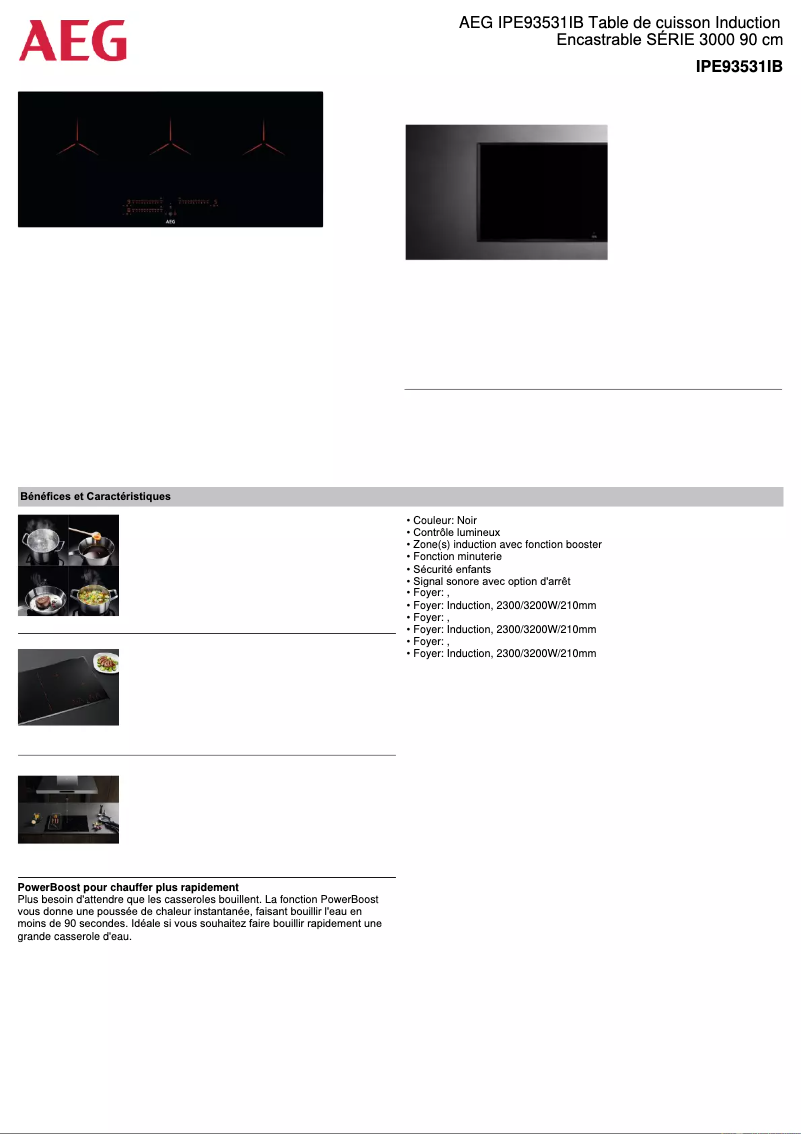 Page n°1 - Fiche technique AEG IPE93531IB
