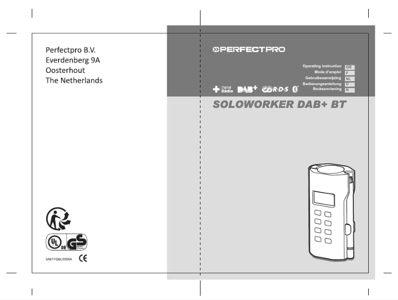Page n°1 - Manuel utilisateur PerfectPro SOLOWORKER DAB+ BT