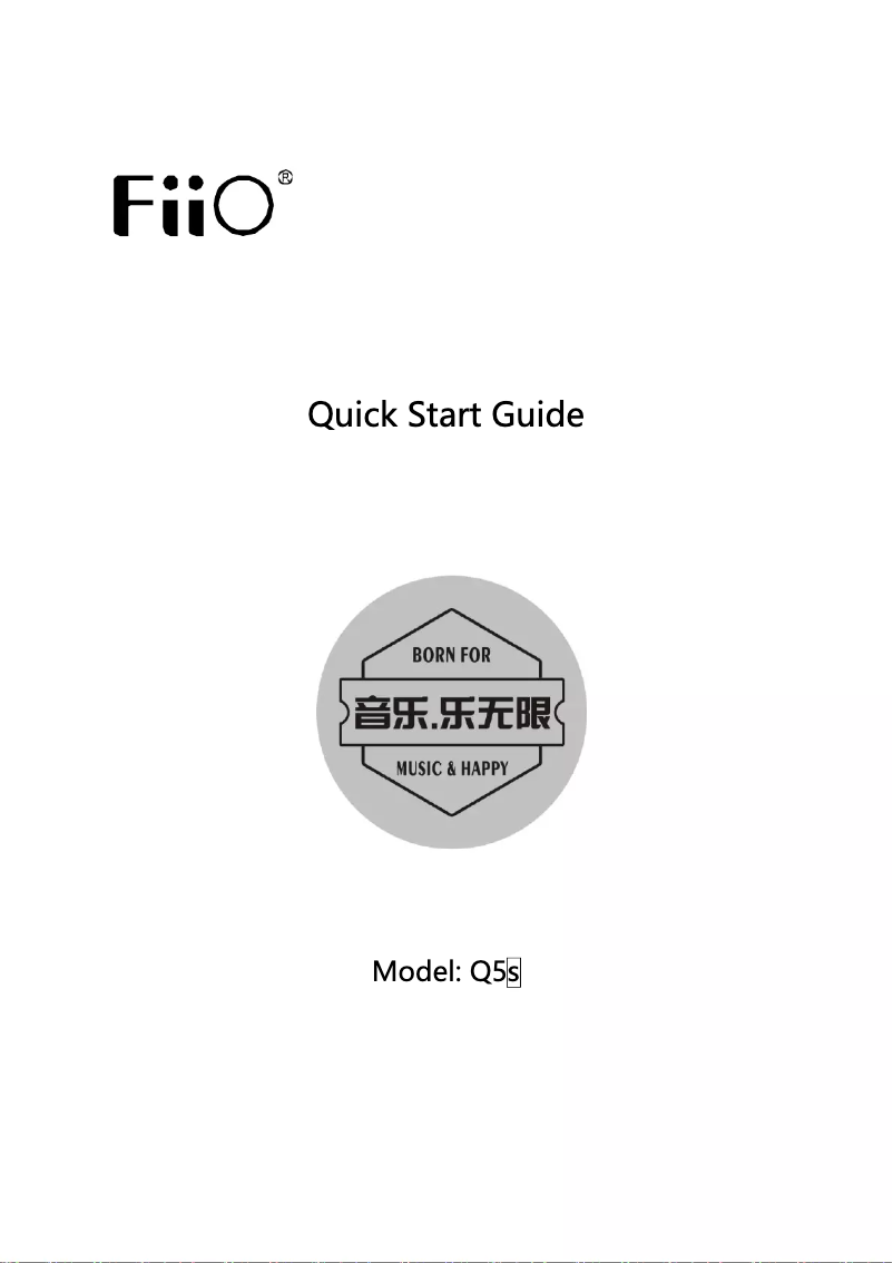 Page 1 de la notice Manuel utilisateur FiiO Q5S