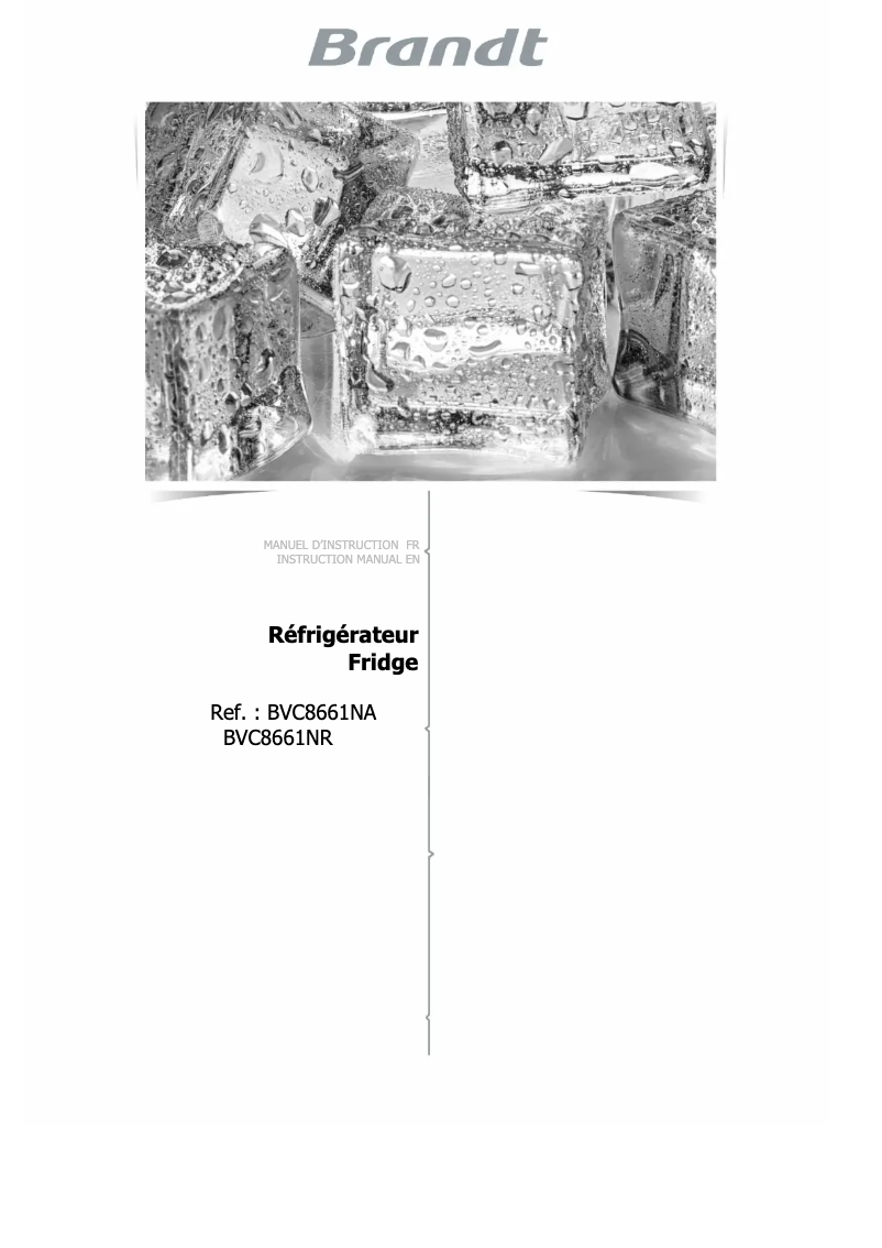 Image de la première page du manuel de l'appareil BVC8661NA