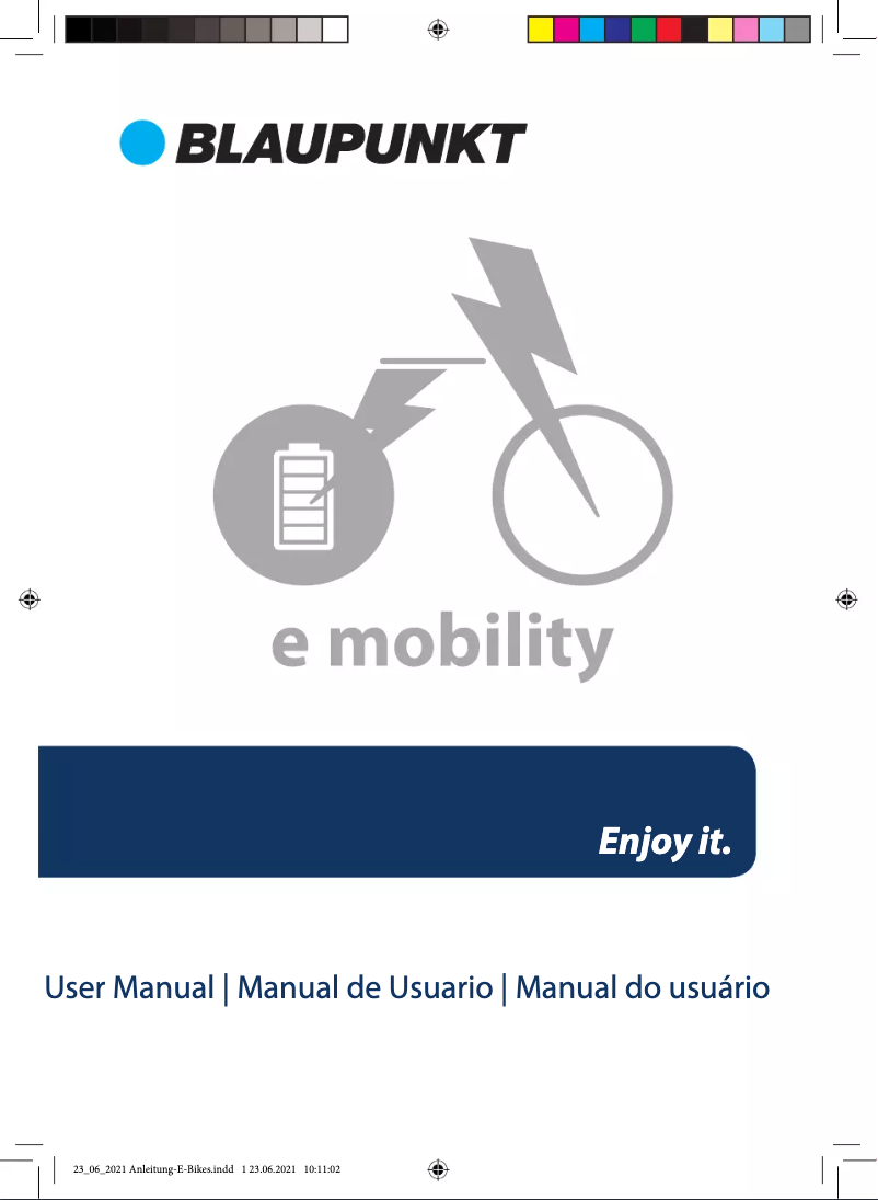 Page n°1 - Manuel utilisateur Blaupunkt Clemson